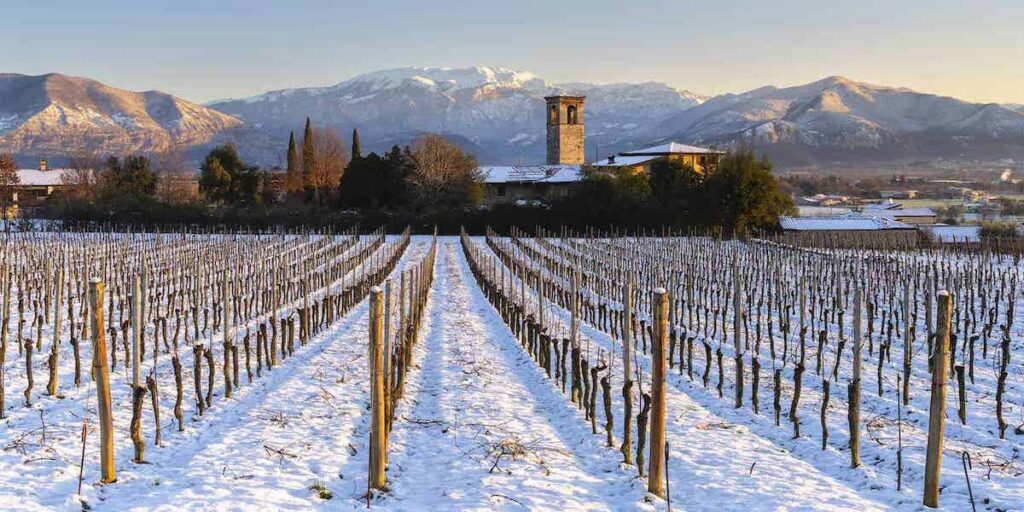 Capodanno in FranciaCorta